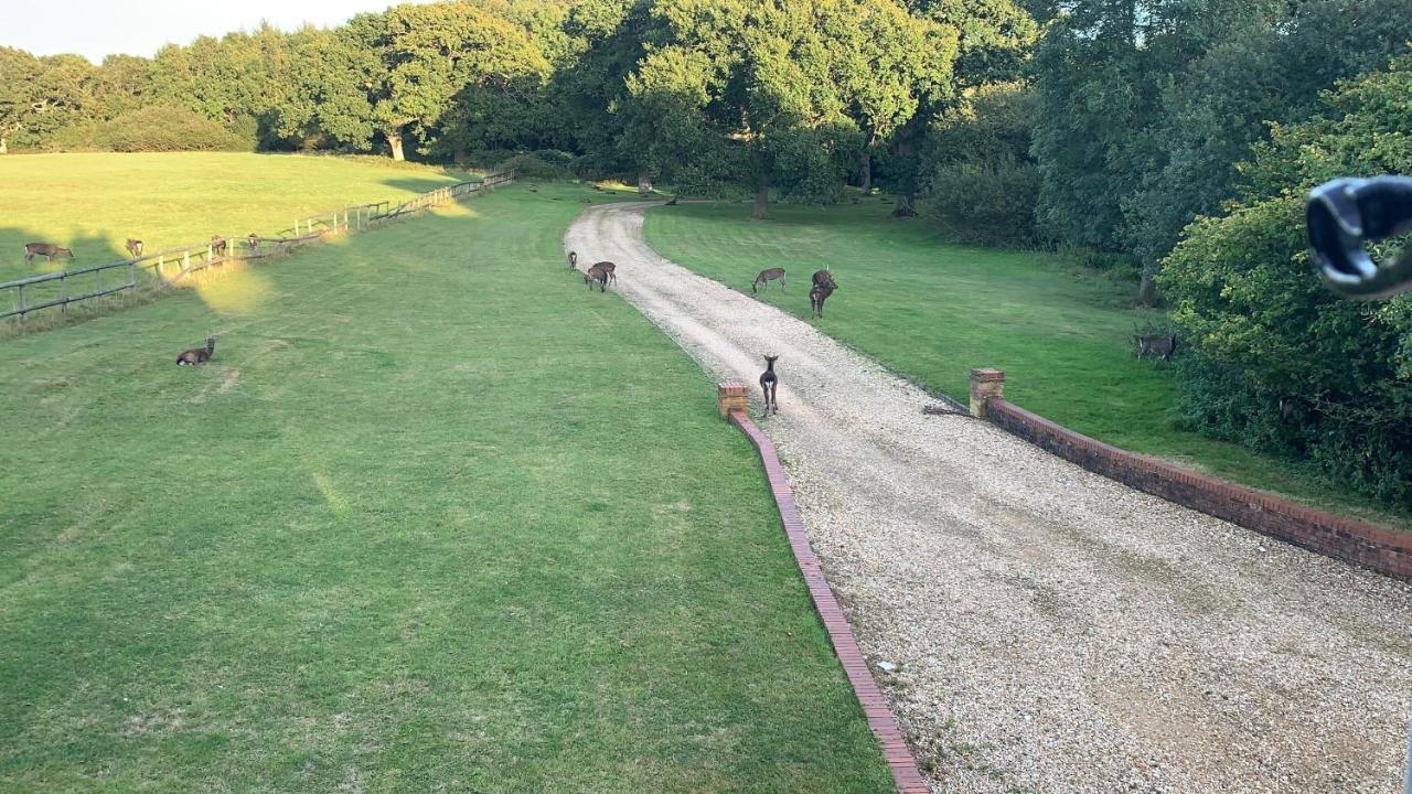 Yards Brake On 40 Acres Of Private Land Villa Langton Matravers Exterior photo